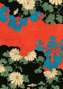 Rotes und schwarzes Design mit Gänseblümchen