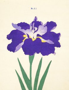 Saiwoga-Uma, Nr. 53, 1890 von Japanese School
