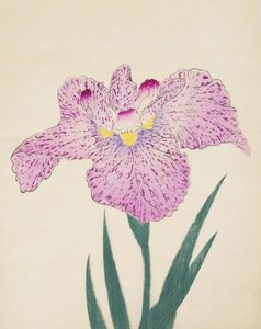 Tanka-No-Koe, Nr. 15, 1890 von Japanese School