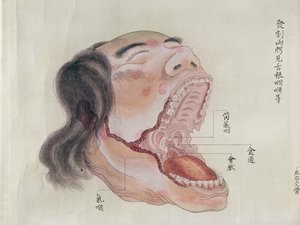 Die Anatomie des Mundes, aus der Dissektion eines Folteropfers von 1796, aus einem Makimono eines Midori-Arztes, 1842 (Feder & Tinte und Aquarell auf Papier)