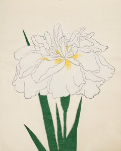 Ujaku-No-Nagisa, Nr. 61, 1890 von Japanese School