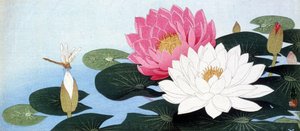 Seerosen und Libelle - Japanischer Druck von Japanese School