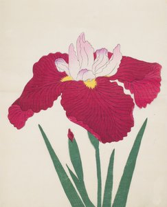 Yamamatayama, Nr. 83, 1890 von Japanese School