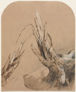 Ein abgestorbener Baum (recto) Grundriss (verso)