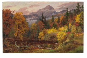 Herbstlaub in den White Mountains (Mount Chocorua)