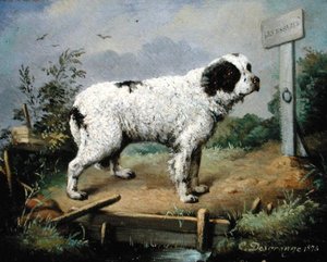 Ein Neufundländer auf einem Damm von Jean Baptiste Desgrange