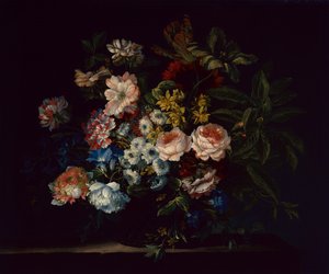 Rosen, Nelken, Hyazinthen und Blumen