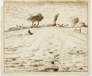 Landschaft - Hügel in Gruchy, Normandie
