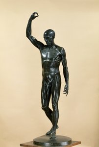 Gehäuteter Körper (L