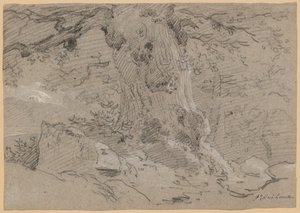 Studie eines alten Baumstamms von Jean Antoine Linck