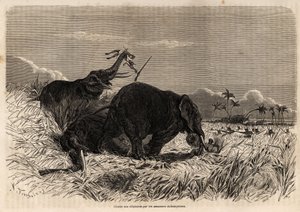 Die Elefantenjagd durch die Dahomey-Amazonen von Jean Antoine Valentin Foulquier
