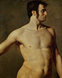 Männlicher Torso