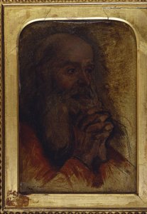 Studie eines alten Mannes Kopf für "Jesus unter den Doktoren"