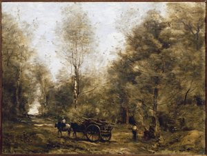 Ein Pfad im Wald von Wagnonville