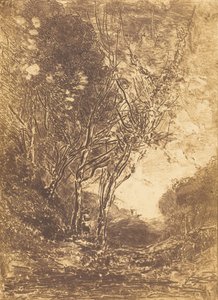 Hinterhalt, 1858