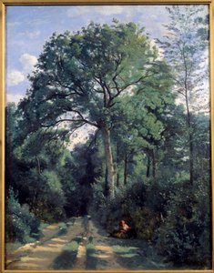 Stadt von Avray, Eintritt in den Wald mit Kutsche