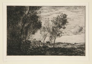 In den Dünen: Erinnerung an den Wald von Den Haag