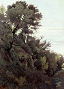Marino - Bäume und Felsen