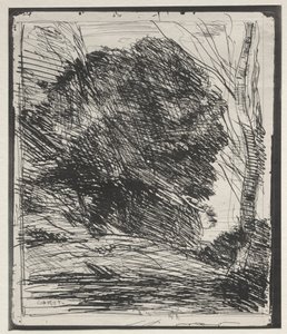 Bäume auf dem Berg, Originaldruck 1856, gedruckt 1921 von Jean Baptiste Camille Corot