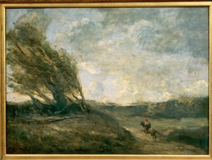 Vom Wind gepeitschte Landschaft