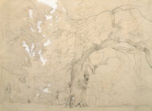 Junger Mann vor einer großen Eiche, um 1840 von Jean Baptiste Camille Corot