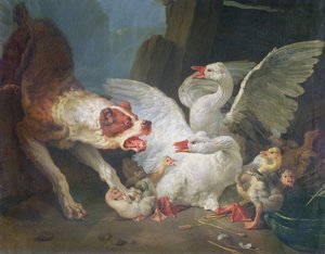 Ein Hund greift Gänse an