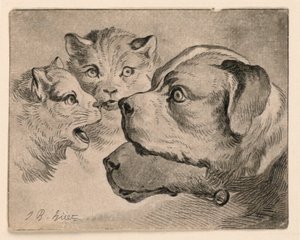 Köpfe von Katzen und Hunden von Jean Baptiste Huet