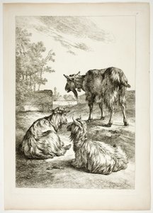 Platte Achtzehn von 38 aus Oeuvres de J. B. Huet von Jean Baptiste Huet