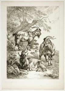 Tafel Siebzehn von 38 aus Oeuvres de J. B. Huet