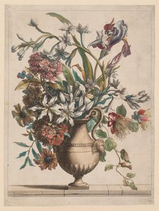 Buch aller Arten von Blumen nach der Natur: Blumenstrauß