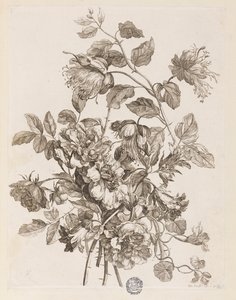 Tafel aus "Le Livre de toutes sortes de fleurs d