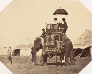 [Lady Canning], 1858-61