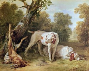 Hund und Hase