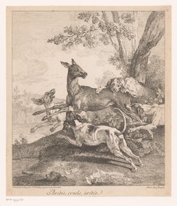 Hirsch von Jagdhunden überfallen (Jagdszenen)
