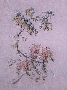 Dekorative Studie von Blumen und Beeren