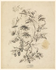 Zeichnung, Ast eines fantastischen Baumes, 1775–1800