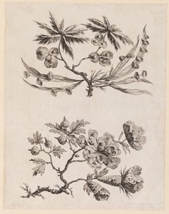 Blumenzweige aus "Recueil de Fleurs Chinois"