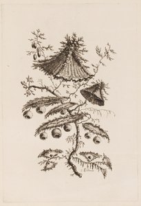 Blütenzweig, aus "Fleures Persannes" von Jean Baptiste Pillement