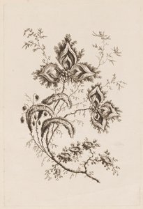 Blumenzweig, aus "Fleures Persannes"