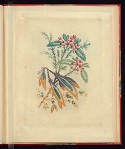 Ornamentales Design mit kleinen roten Blumen und Beeren, aus Nouvelle suite de cahiers de flerurs naturelle a l