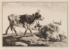 Platte 2, aus "Cahier de Six Feuilles de Boeufs et Vaches" von Jean Baptiste Pillement