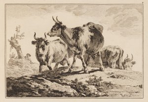Tafel 4, aus "Cahier de Six Feuilles de Boeufs et Vaches" von Jean Baptiste Pillement