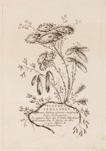 Titelseite, aus "Fleures Persannes" von Jean Baptiste Pillement