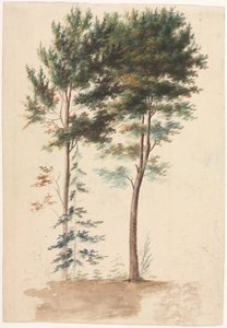 Bäume