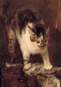 Das Stillleben mit Rochen, Fischen, Austern und Krug (Detail). Gemälde von Jean Baptiste Simeon Chardin (1699-1779) 1727. Paris, Louvre Museum von Jean Baptiste Simeon Chardin