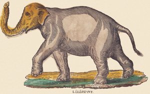 Der Elefant, ca. 1840-1852 von Jean Baptiste Thiebault