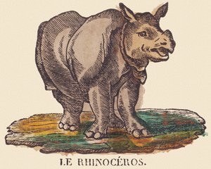 Das Nashorn, ca. 1840-1852