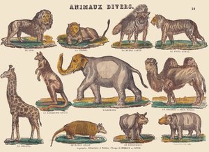 Verschiedene Tiere, ca. 1840-1852
