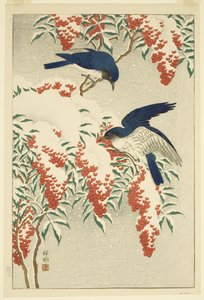 Fliegenfänger auf schneebedecktem Nandina (Farbholzschnitt)