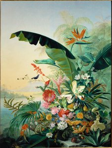 Exotische Blumen von Jean Benner-Fries